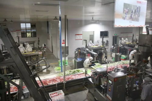 復(fù)工復(fù)產(chǎn) 赤水開(kāi) 竹 馬力做 竹 文章